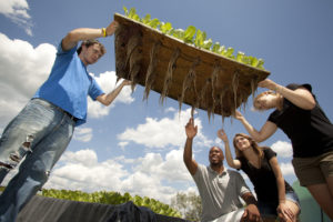 T.J. Eatmon et al inspect plant roots. Photos by Bill Owen.