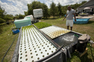 Environmental Scientist T.J. Eatmon inspects the grow beds of a local farmer's aquaponic system.