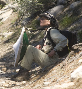 Listening for white-headed woodpeckers, with a parabolic microphone (the green is the outside of the parabola). Photo: David Kazdan