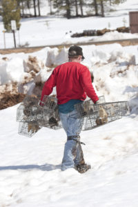 Even in the middle of winter, Hoogland often captures many prairie dogs on the same day. Photo by Elaine Miller Bond. 