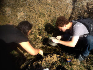 Romero's classmate and Romero taking samples at the beach in Les Sables d'Olonne, France, where they examined the biodiversity of intertidal species.