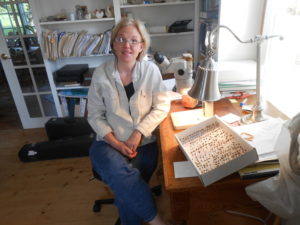 Applied Entomologist Sara Bushmann with a box of bees of the genus Andrena.