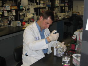 Applying a sample of protein to be analyzed using a technique called “polyacrylamide gel electrophoresis” also known as loading an SDS-PAGE.