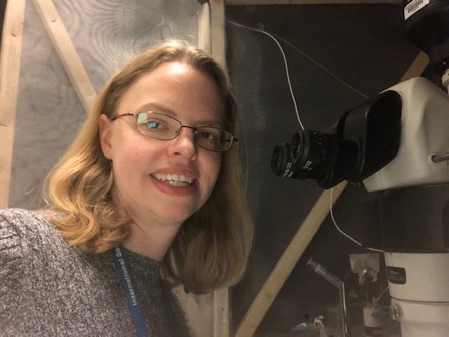 Neurochemist Jill Venton, in front of a microscope used for experiments on fruit flies.