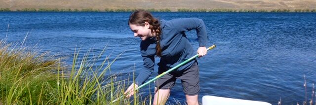 Evolutionary BIologist at South Island