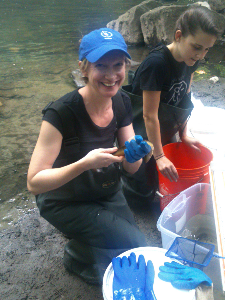 Alter in the Bronx River, collecting DNA from fishes including mummichog (she's holding an American eel).